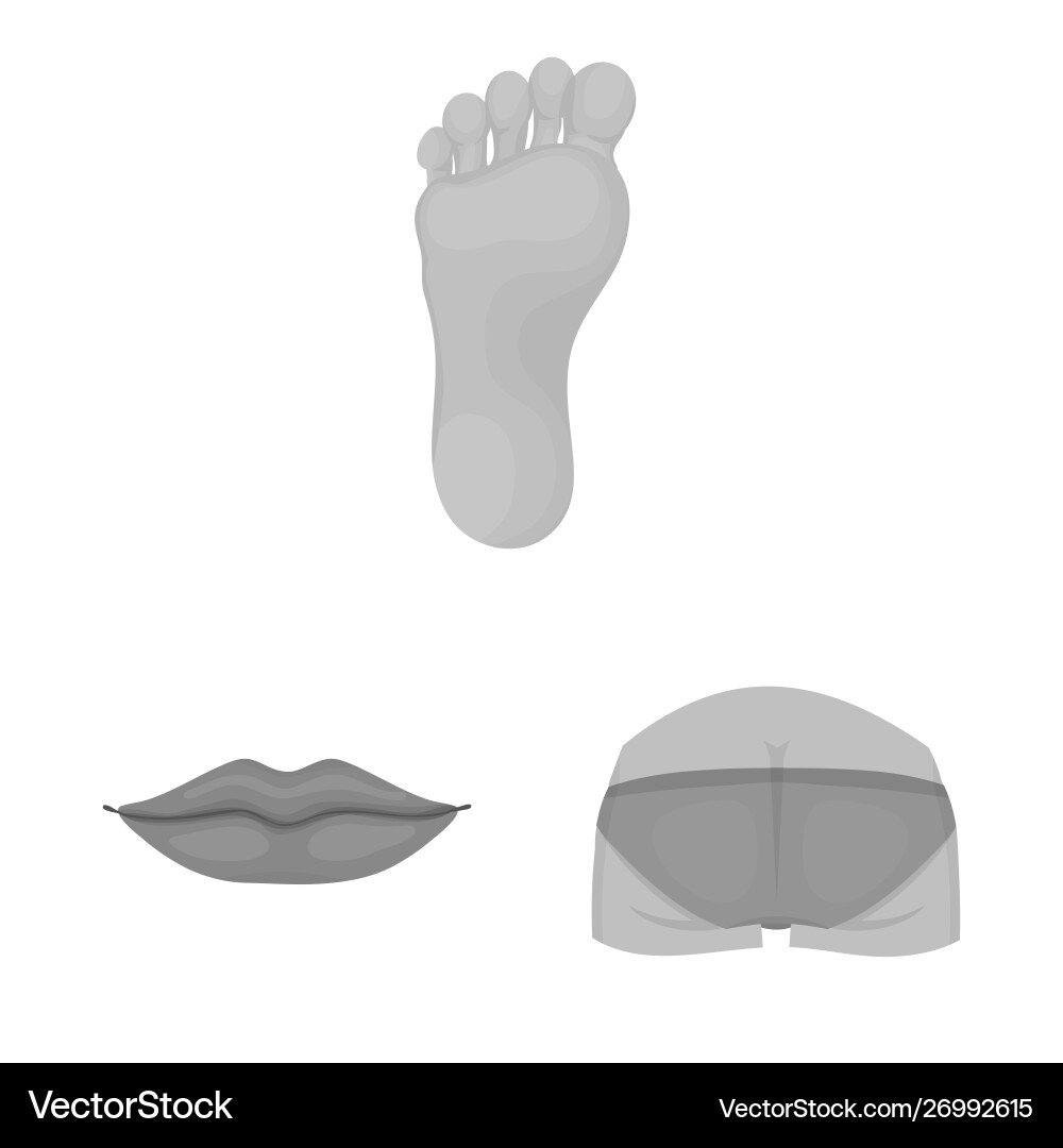 Isolated object body and part logo collection Isolated object body and part logo collection vector image