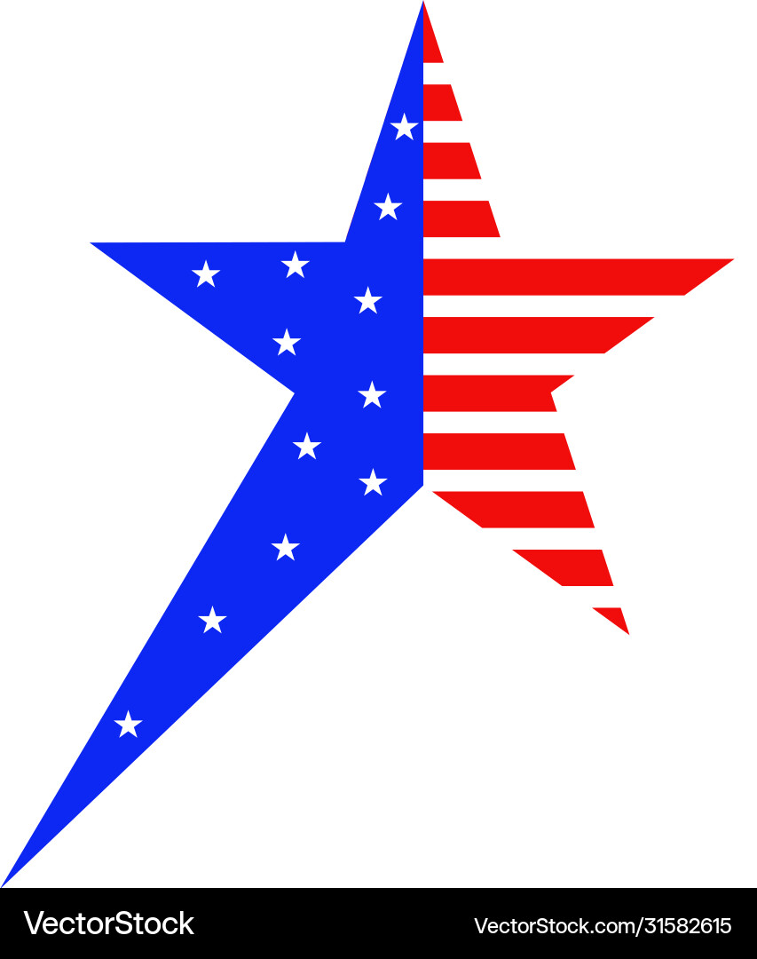 Star ornament for 4 th july Star ornament for 4 th july vector image