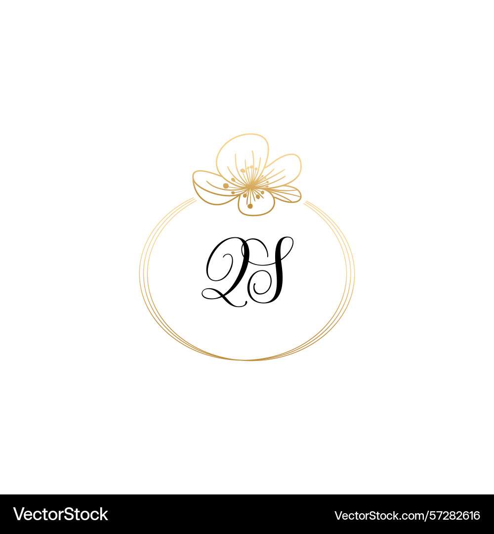 Botanical monogram logos with initial qs Vector Image