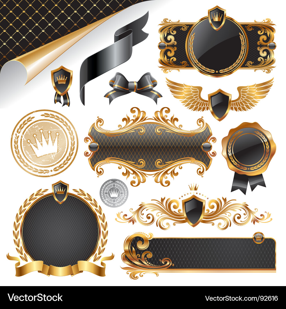 Luxury Gold & Black Ornate Elements vector image