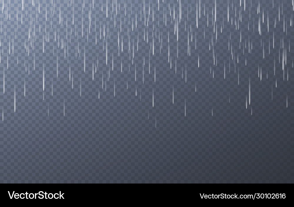 Rain drops on transparent background falling Vector Image