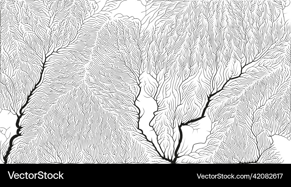 Growth pattern generative branching structure Vector Image