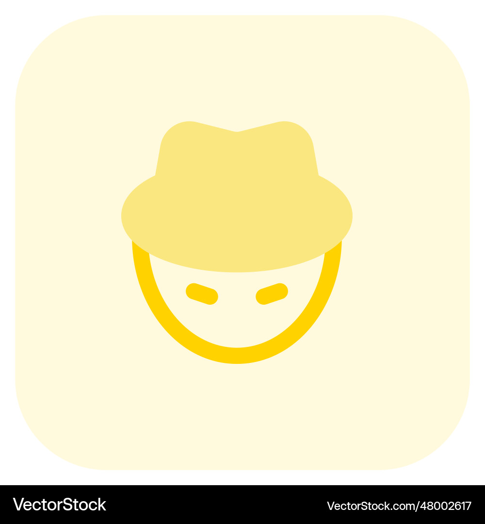 Hacker with technical skills in programming vector image