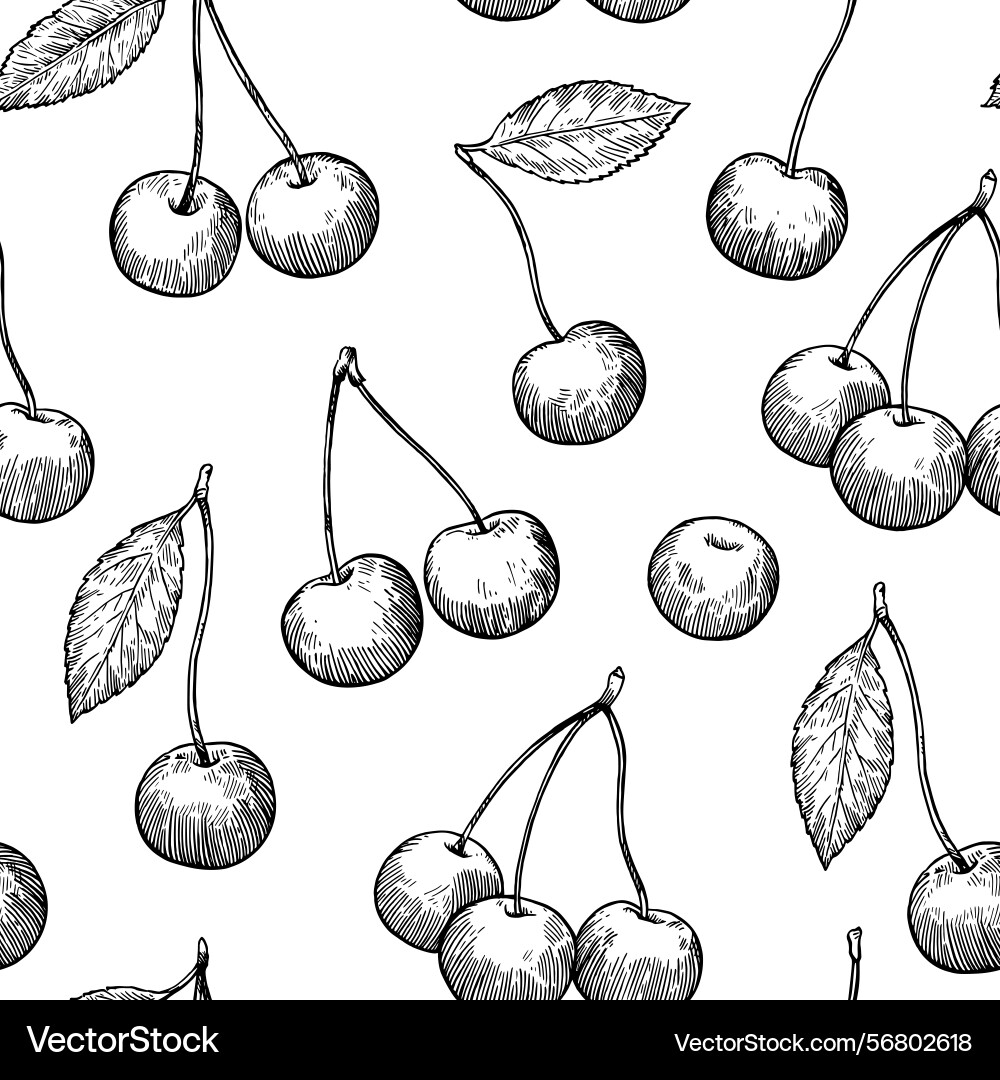 Seamless pattern with cherry in sketchy vector image