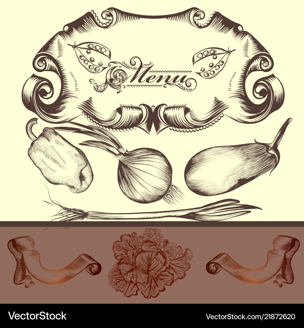 Elegantes Menü Design mit Gemüse Elegantes Menü Design mit Gemüse vektorbild