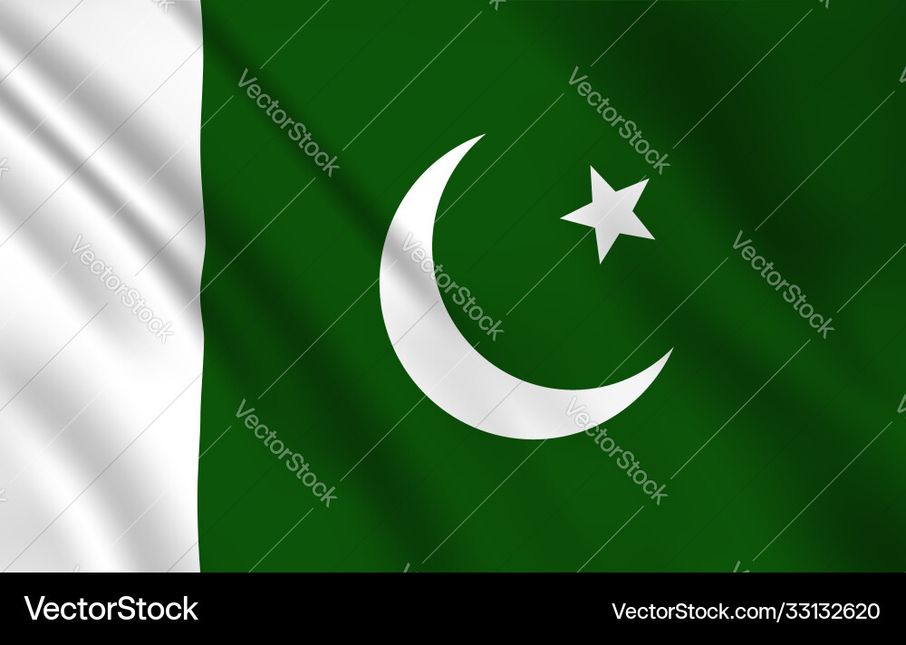 Pakistan Flag - White Moon & Star vector image