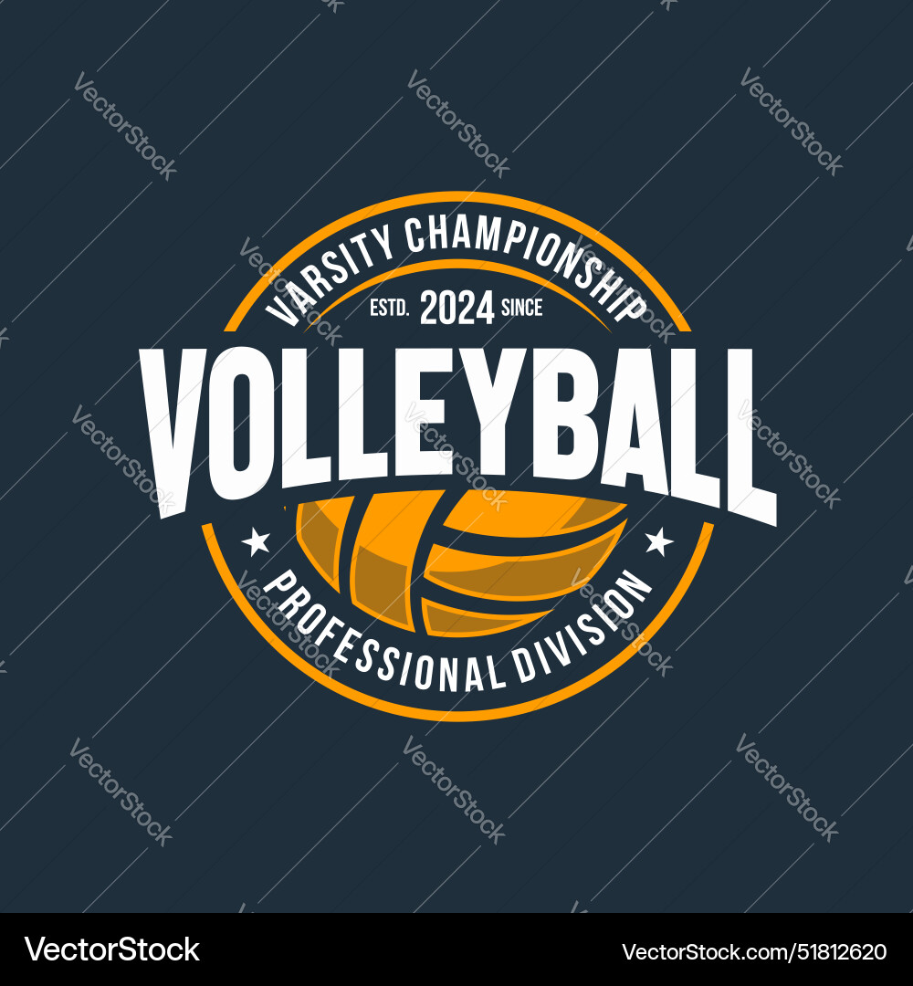 Vintage Volleyball Championship Badge vector image