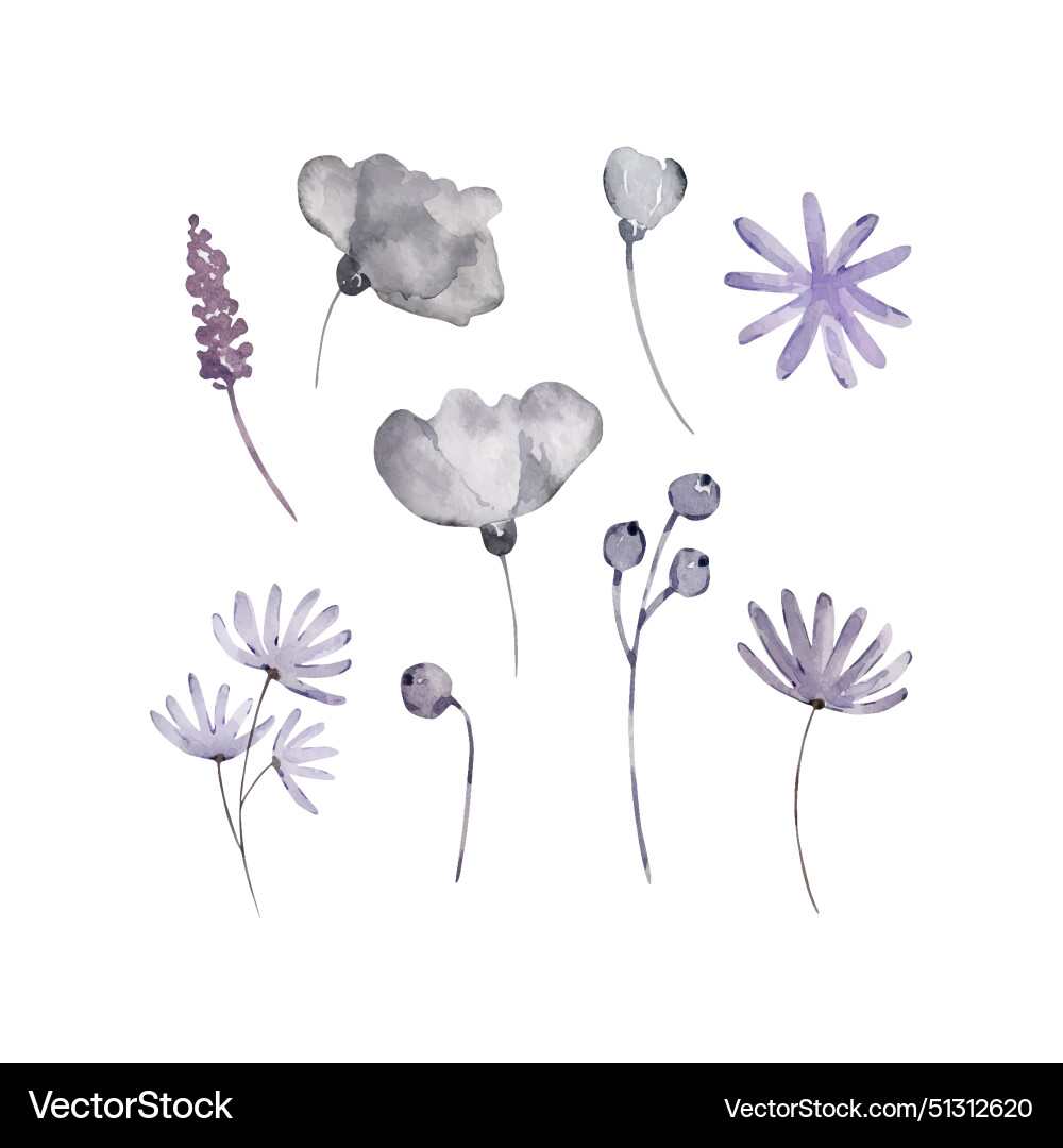 Watercolor boho flowers set Royalty Free Vector Image