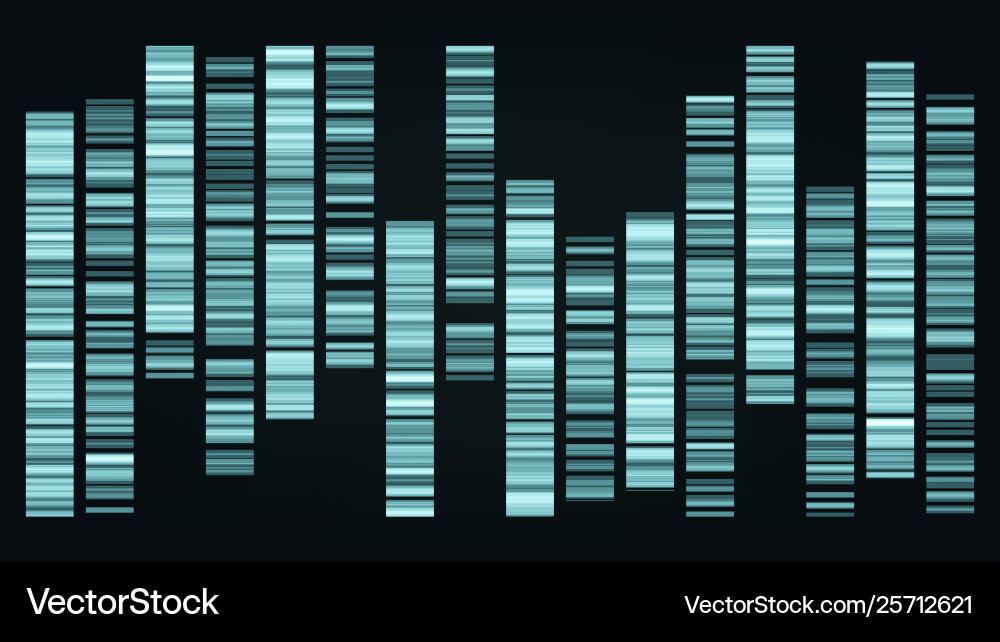 Genomic Data Analysis Chart vector image