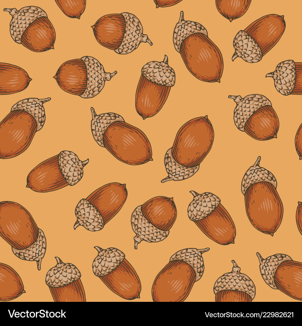 Seamless pattern with ripe acorn Vector Image