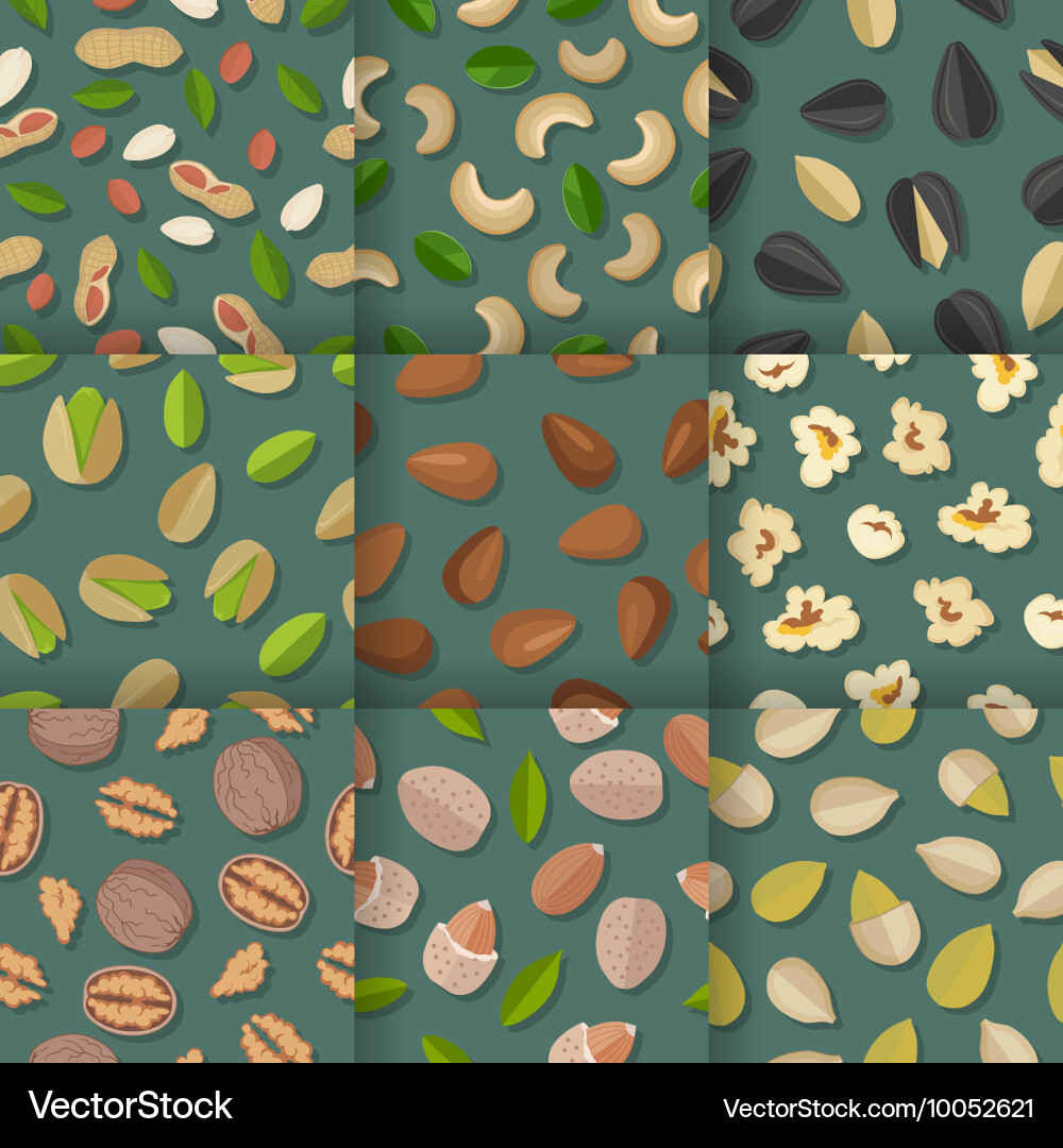 Set of seamless patterns with nuts and seeds vector image