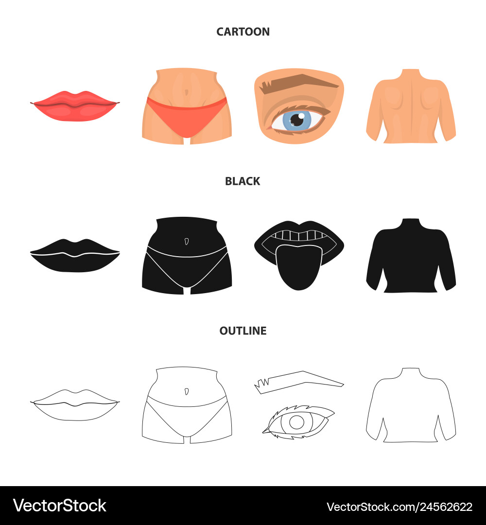 Design of body and part icon set Design of body and part icon set vector image