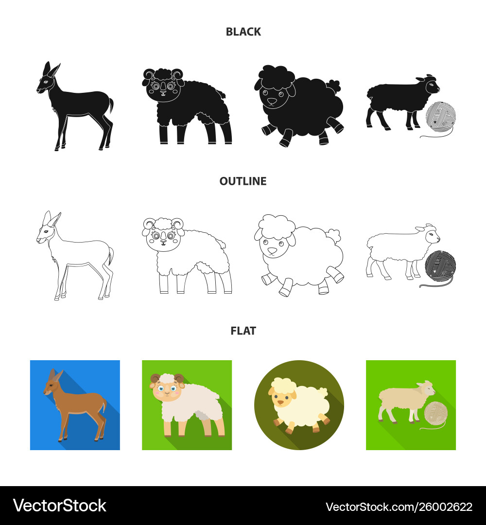 Isolated object sheep and goat symbol set Vector Image