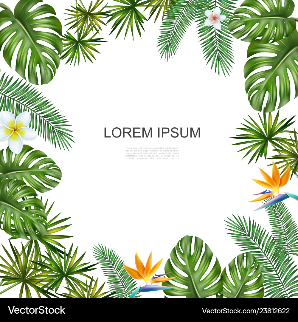 Tropical Flower Paradise Vector Image