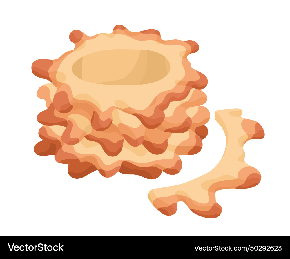 Belarusian sakotis traditional lithuanian spit Belarusian sakotis traditional lithuanian spit Vector Image