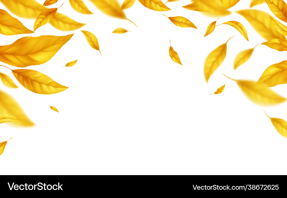 Falling flying autumn leaves background realistic vector image