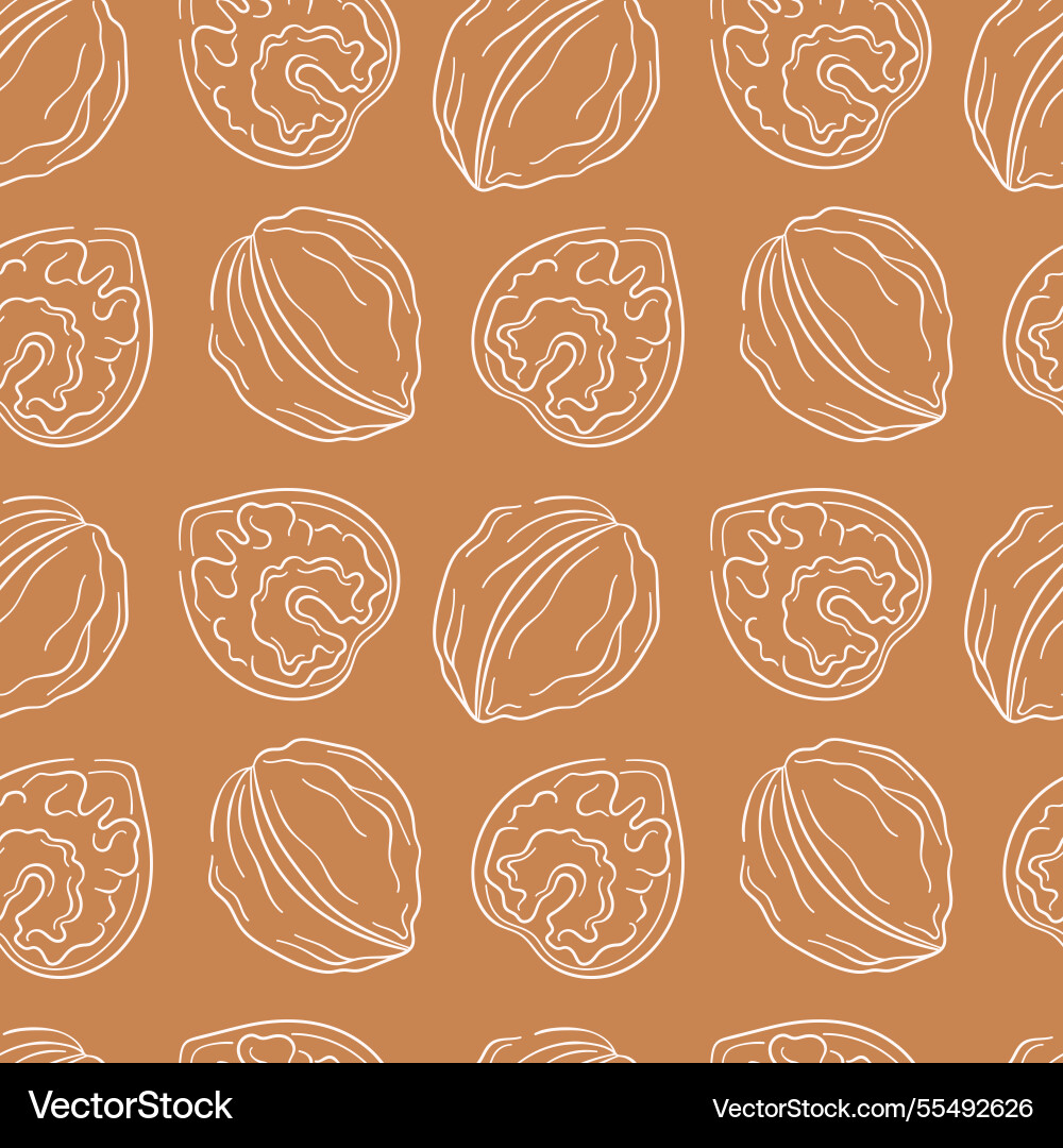Walnut line art style seamless pattern on brown Vector Image