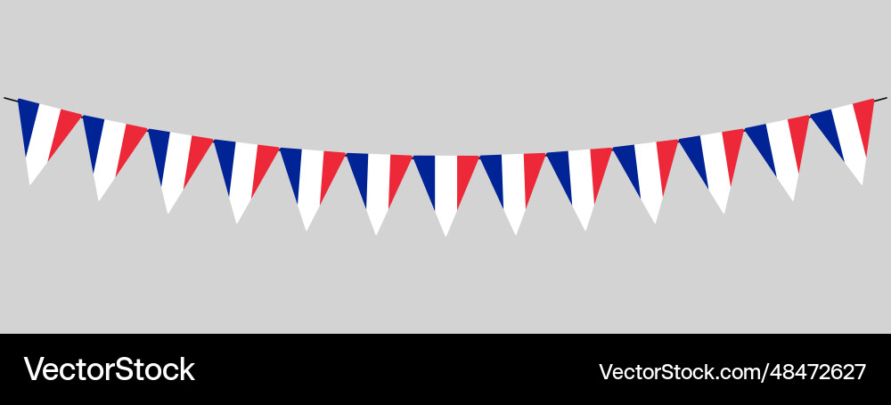 France bunting garland string of triangular flags Vector Image