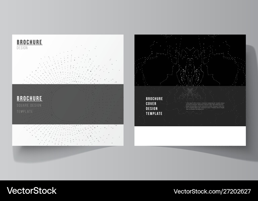 Minimal layout two square Minimal layout two square vector image