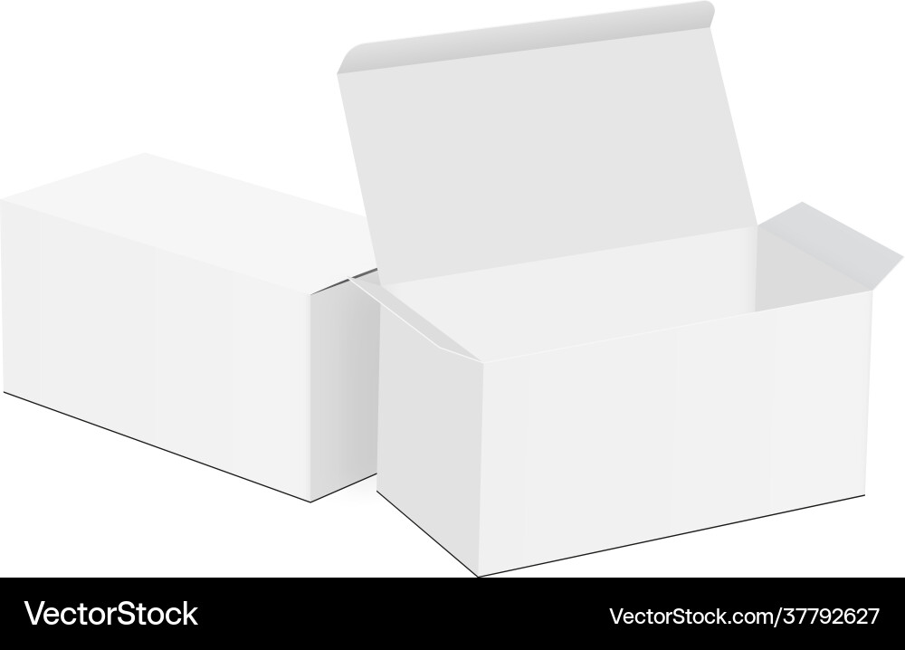 Paper rectangular boxes with opened and closed lid Vector Image