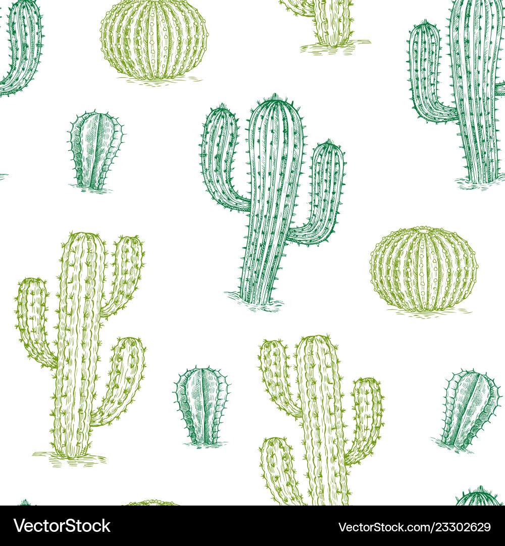 Cactus Seamless Pattern - Desert Royalty Free Vector Image