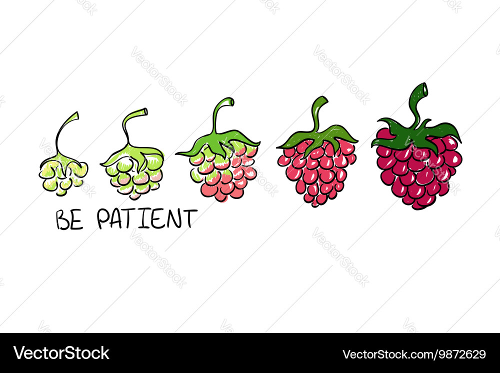 Creative concept of development with raspberry vector image