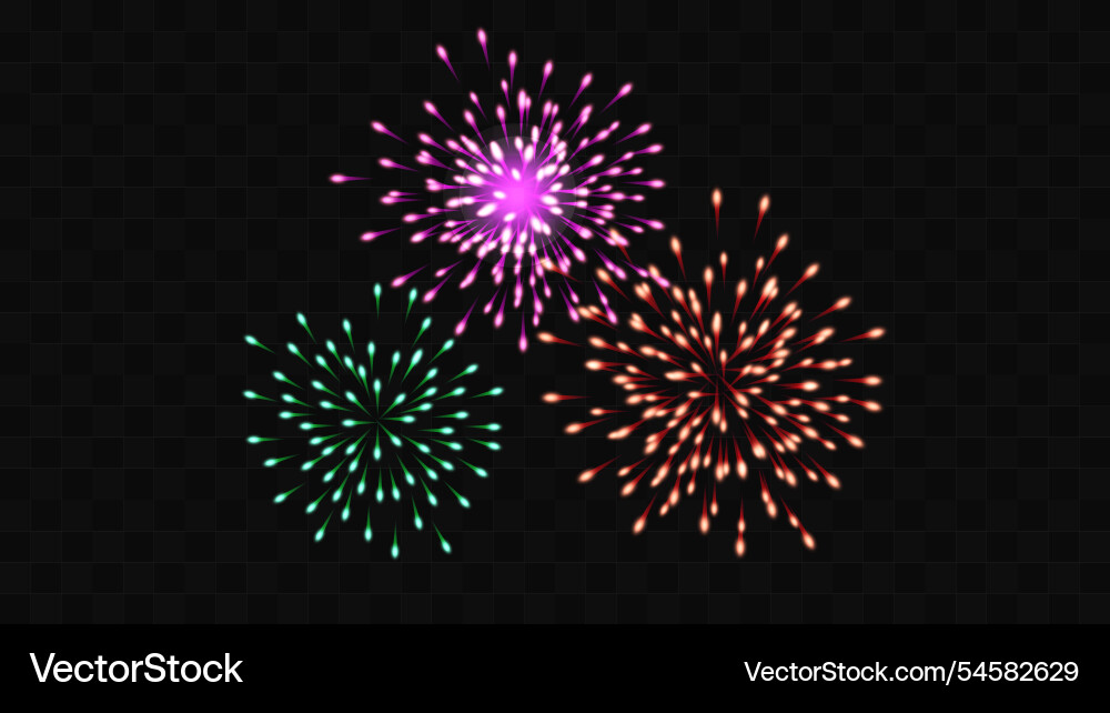 Firework festive color on a transparent background vector image
