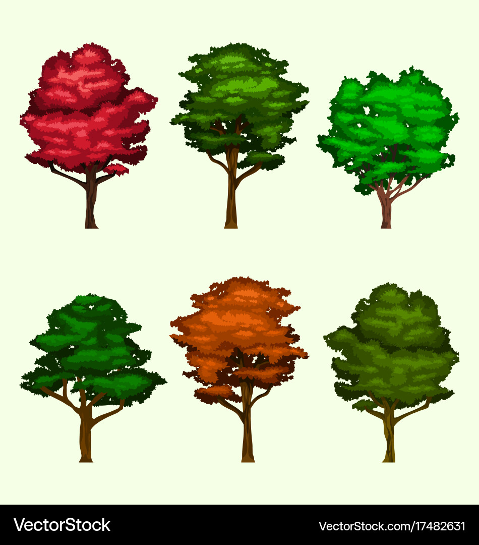 Isolated realistic tree collection set Vector Image