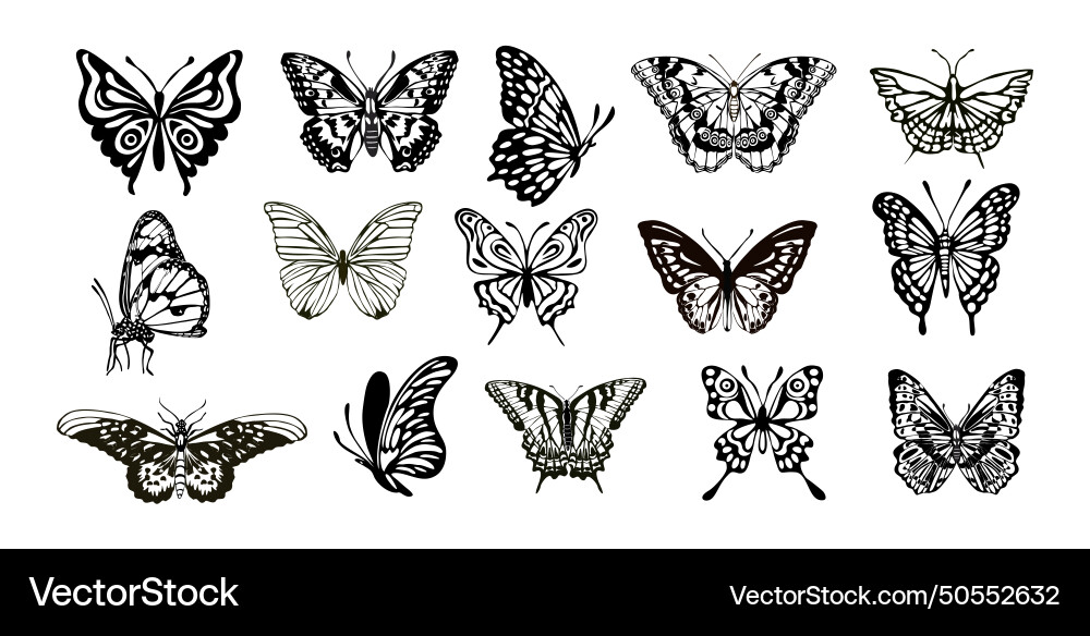 Bundle of different types butterflies isolated Vector Image