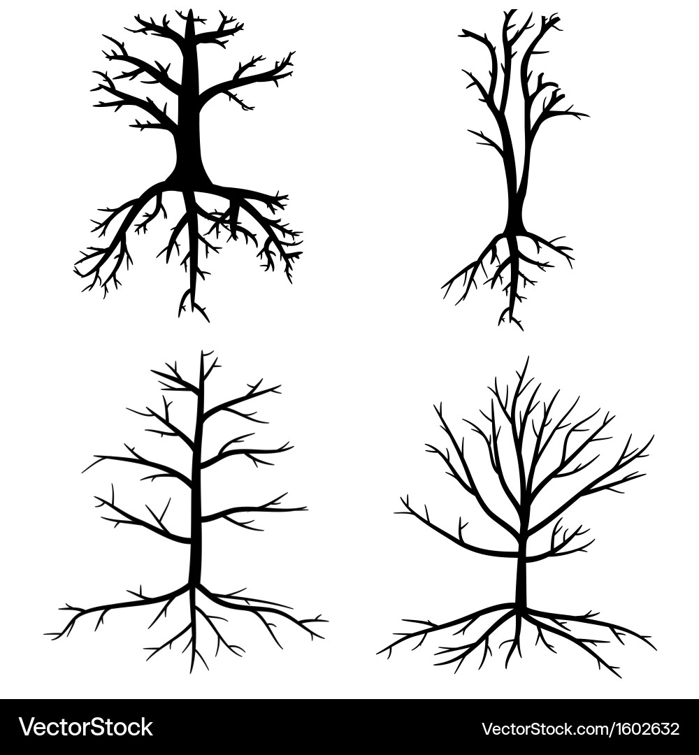 Desolate Tree Branches and Roots Vector Image
