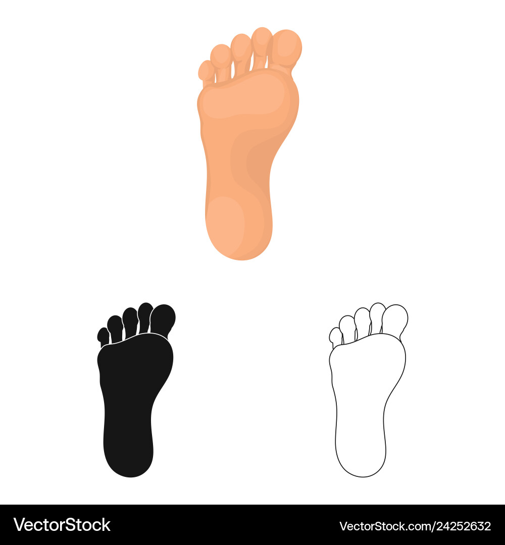 Isolated object of body and part symbol vector image