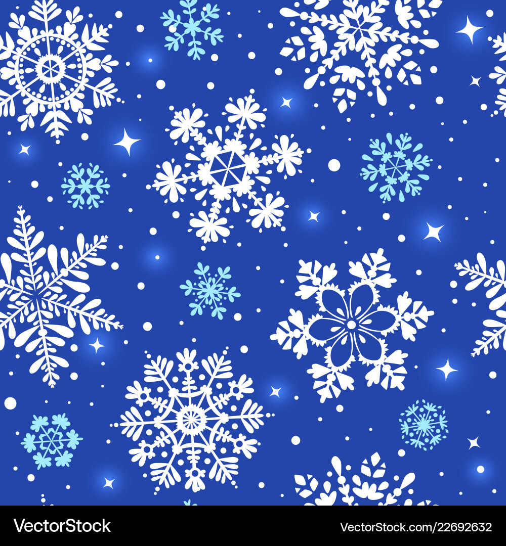 Winter Snowflake Pattern vector image