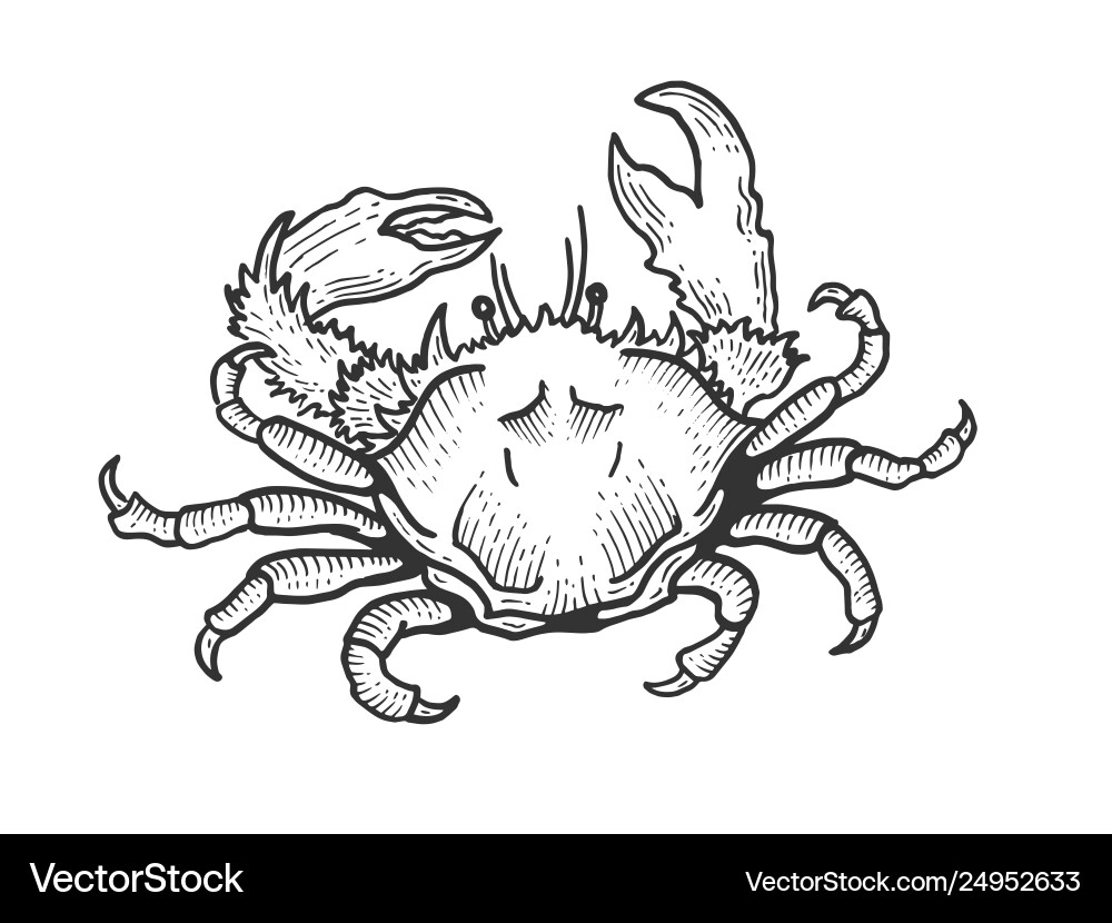 Crab Sketch - Scratch Board Style vector image