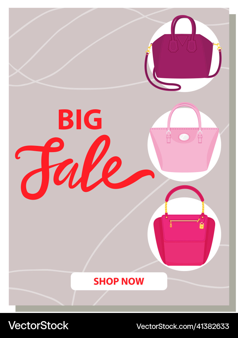 Sale poster with womens bag shop now discount Sale poster with womens bag shop now discount vector image
