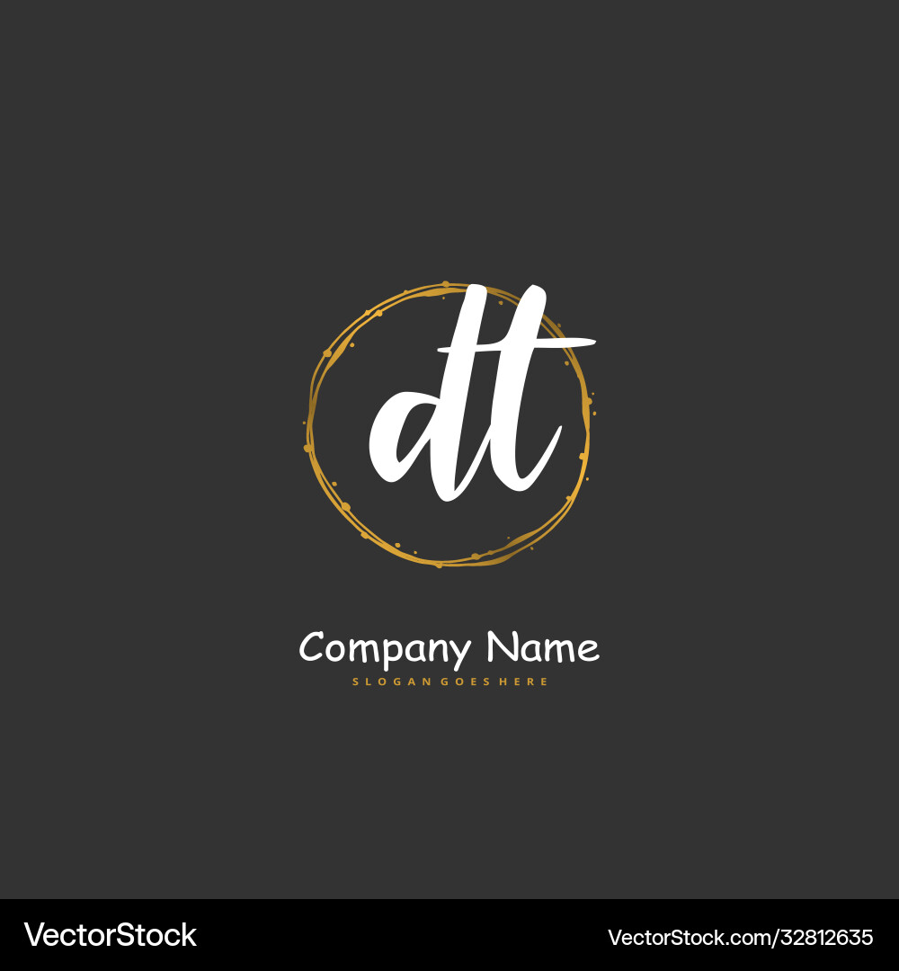 D t dt initial handwriting and signature logo Vector Image