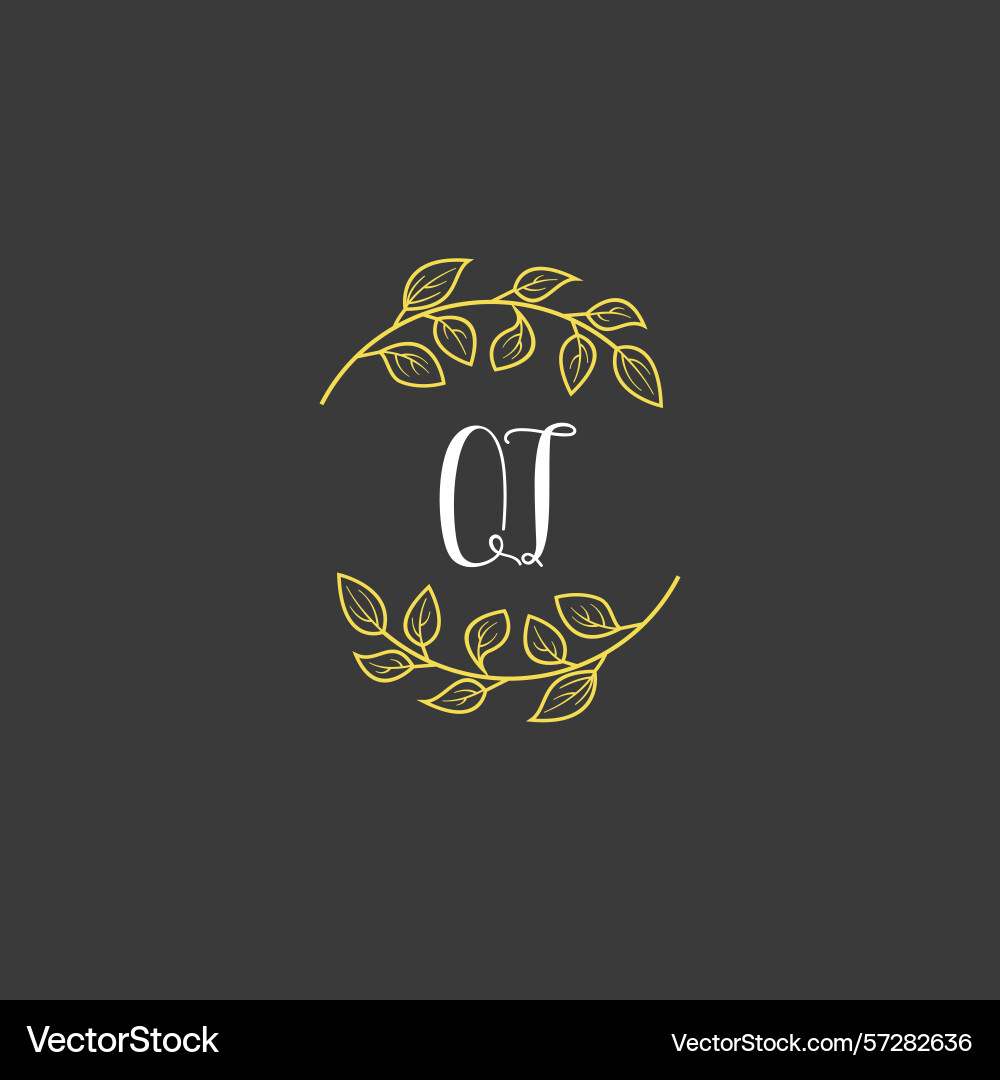 Botanical monogram logos with initial qt Vector Image