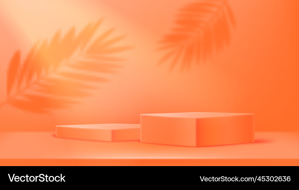 Empty illuminated room with two square platforms Empty illuminated room with two square platforms vector image