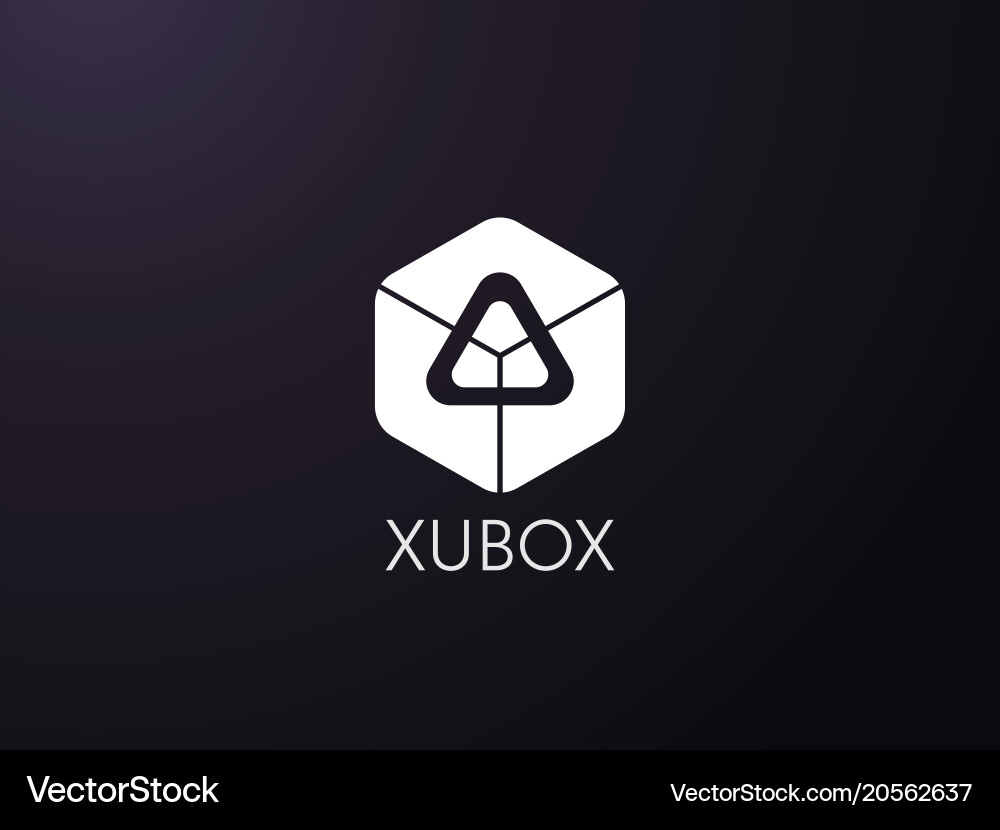 Abstract geometric triangle in hexagonal cube box Vector Image