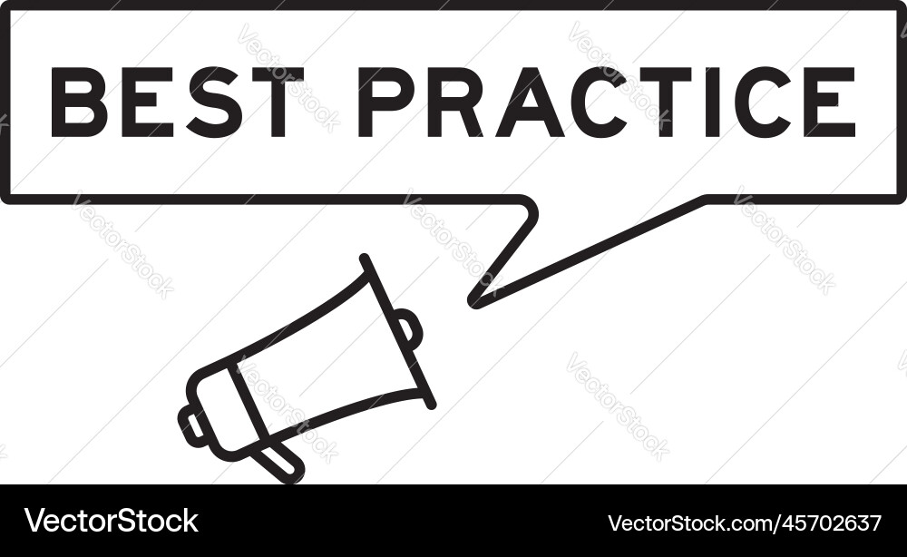 Best Practice Megaphone Icon Vector Image