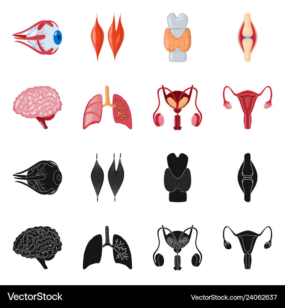 Biologie und wissenschaftliches Logo Biologie und wissenschaftliches Logo vektorbild