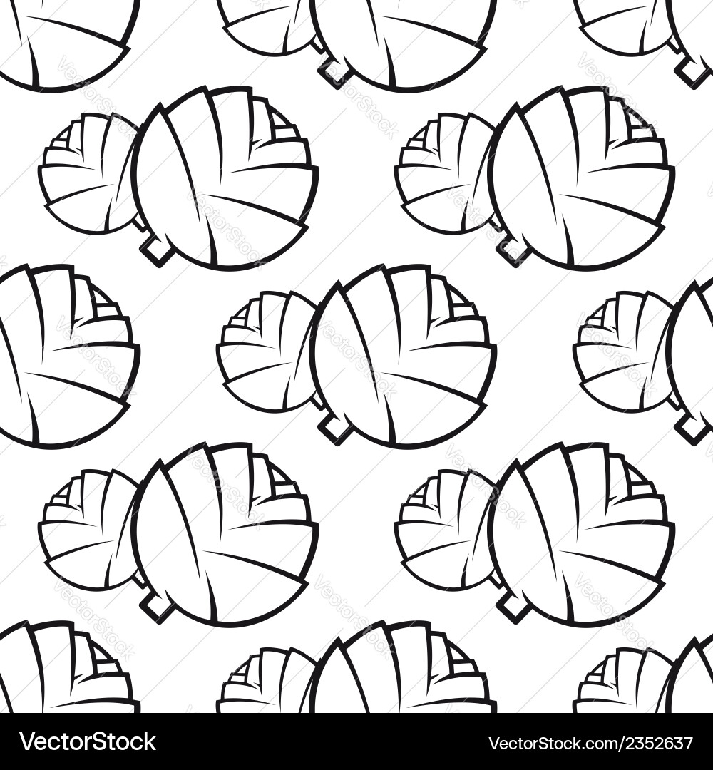 Cabbage Leaf Pattern vector image