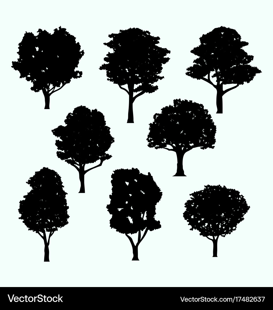 Detail realistic tree silhouette isolated set Vector Image