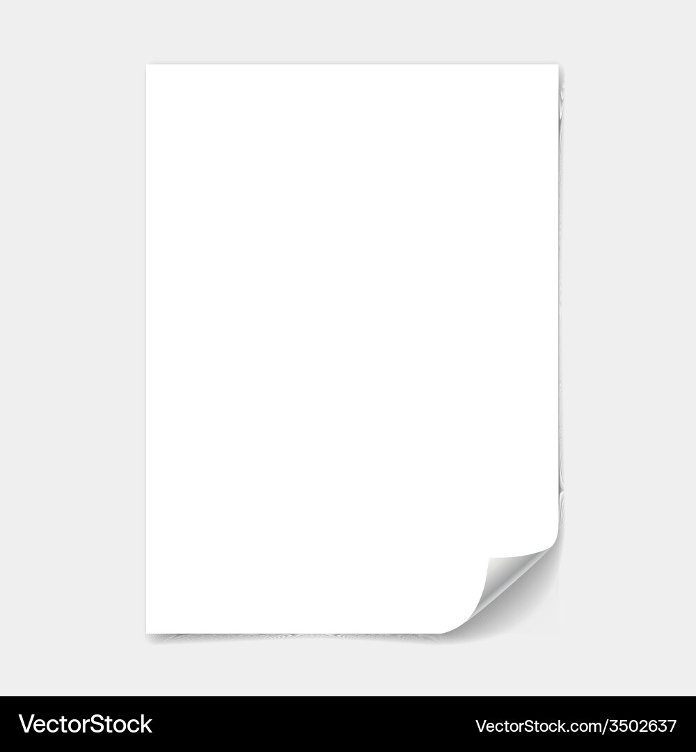 White Paper Sheet with Curl vector image