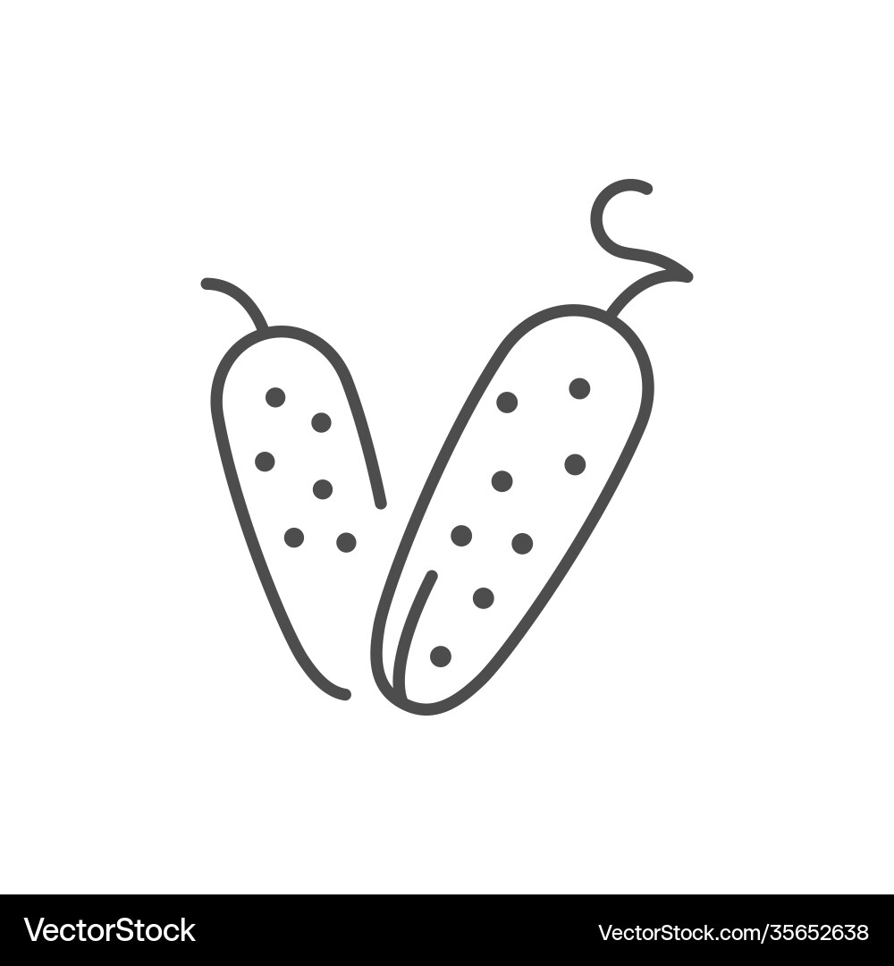 Cucumber line icon or vegetable concept vector image