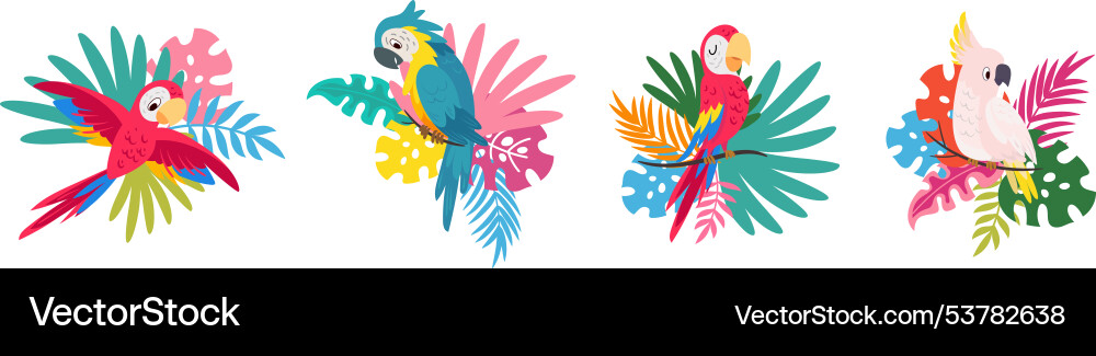 Exotic parrots plants and tropical birds vibrant Exotic parrots plants and tropical birds vibrant vector image