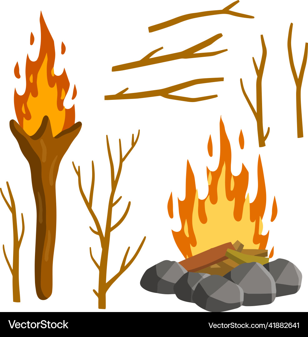Fire and torch set of tree branches Fire and torch set of tree branches vector image
