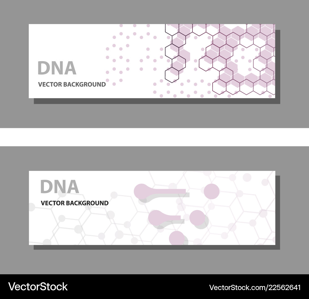 Set of 9 templates for presentation slides vector image