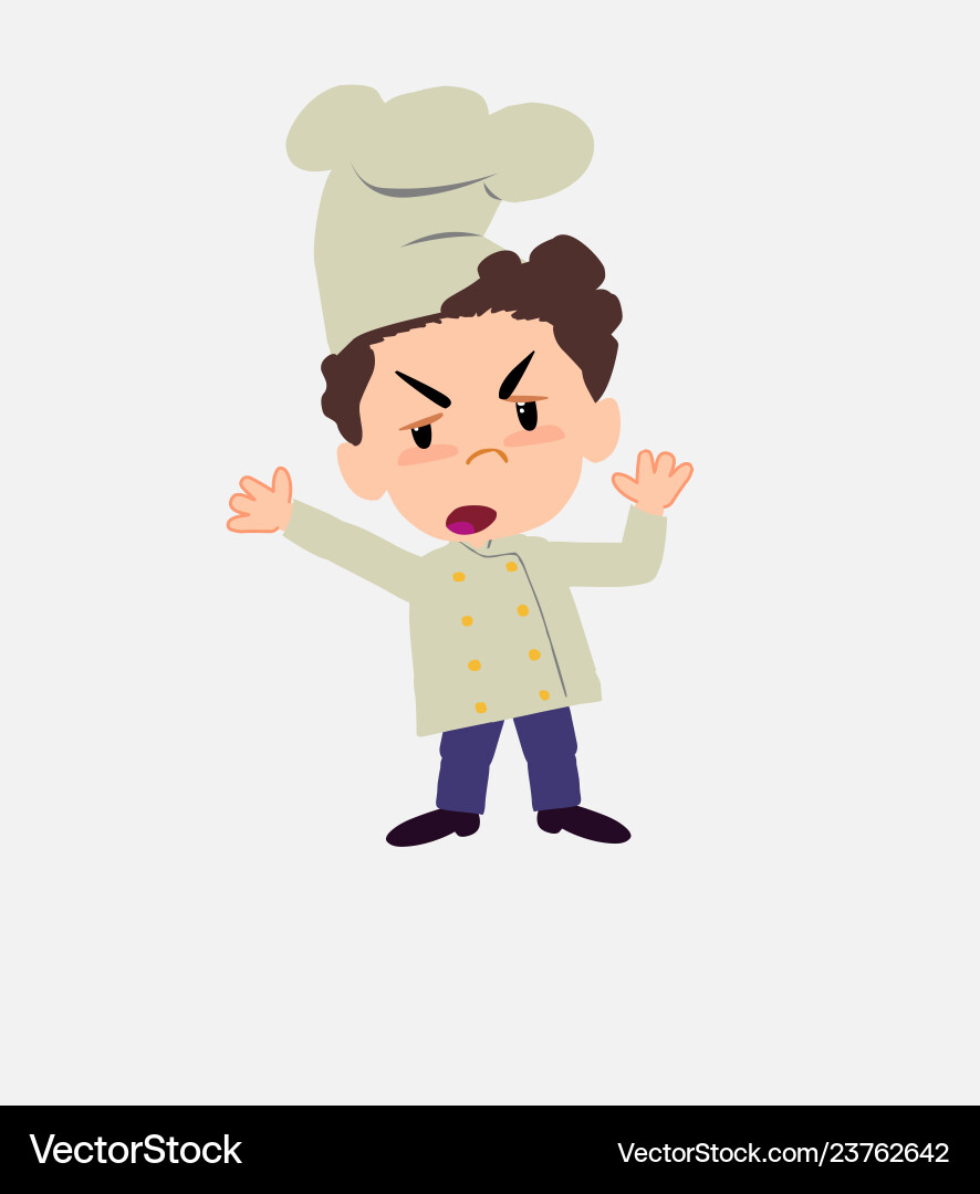 Chef argues something with a gesture of discontent Chef argues something with a gesture of discontent vector image