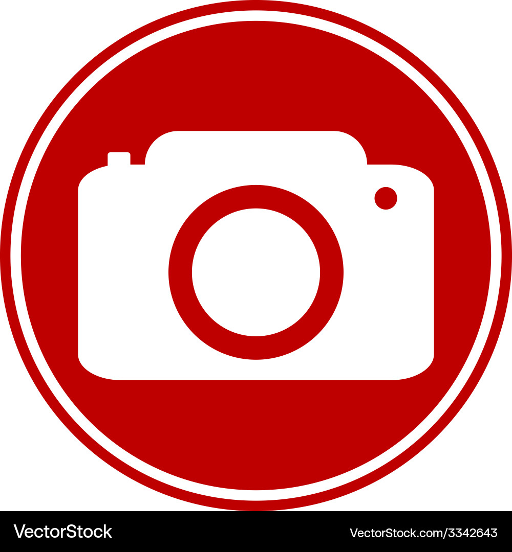Camera button Vector Image
