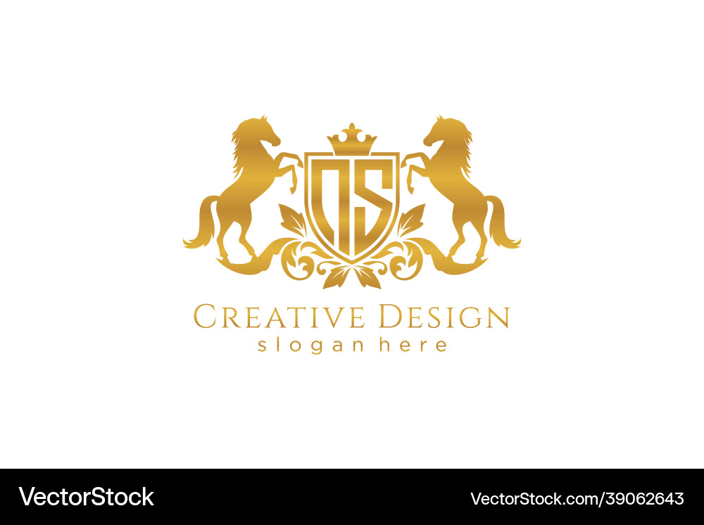 Initial ns retro golden crest with shield and two Vector Image